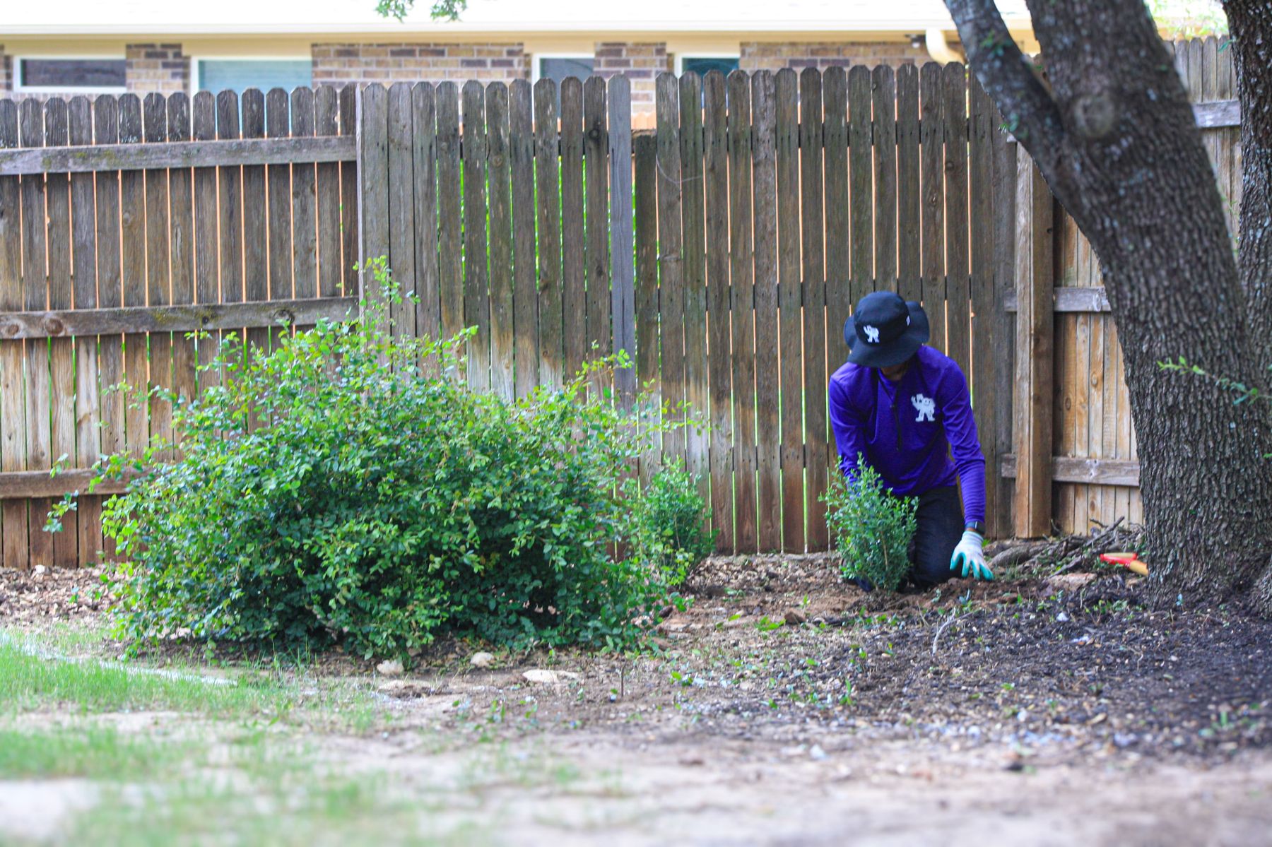 Lawn care work by Keep Austin Mowed in the Georgetown and Leander area, photo 4