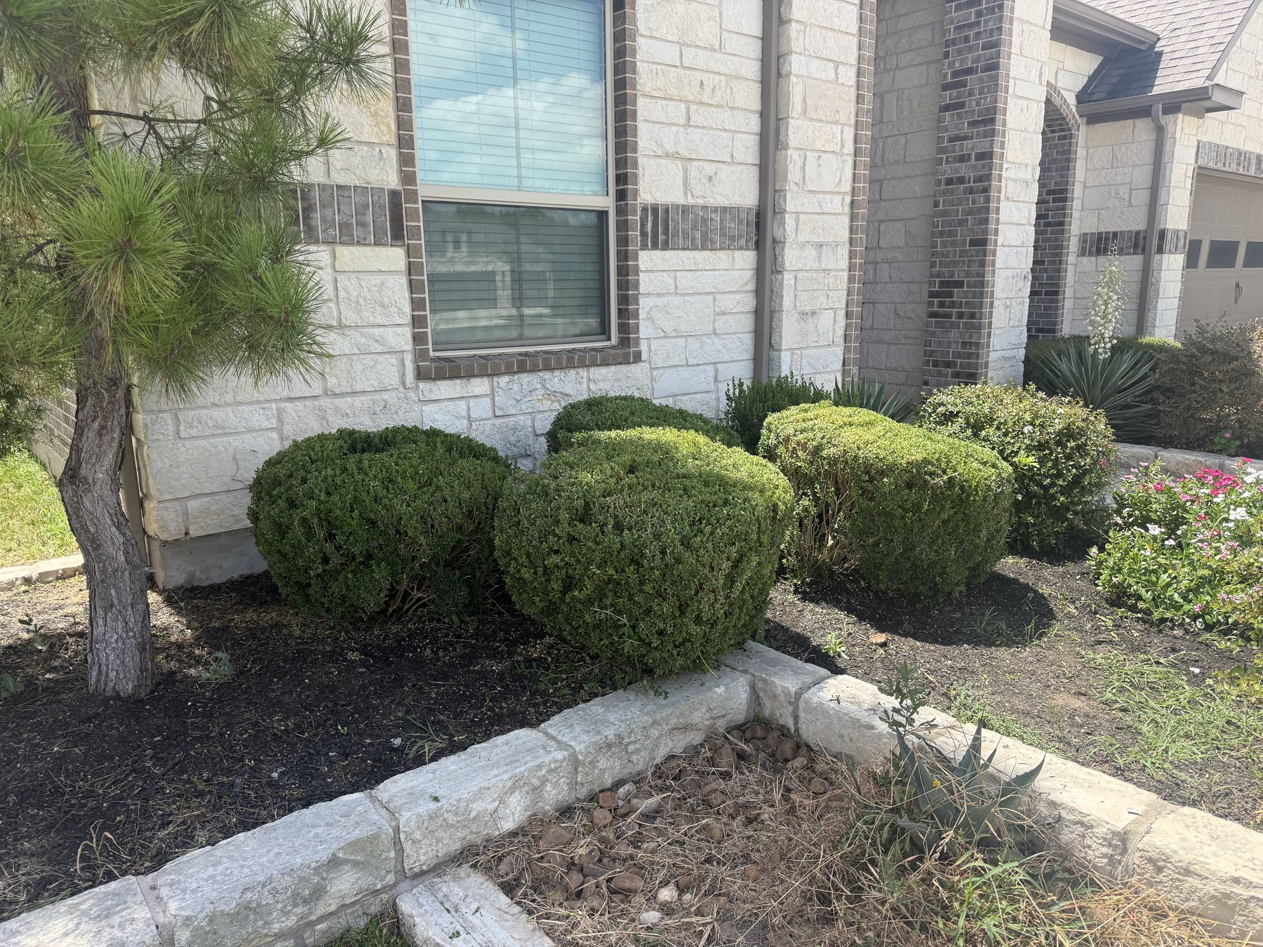 Keep Austin Mowed lawn care work