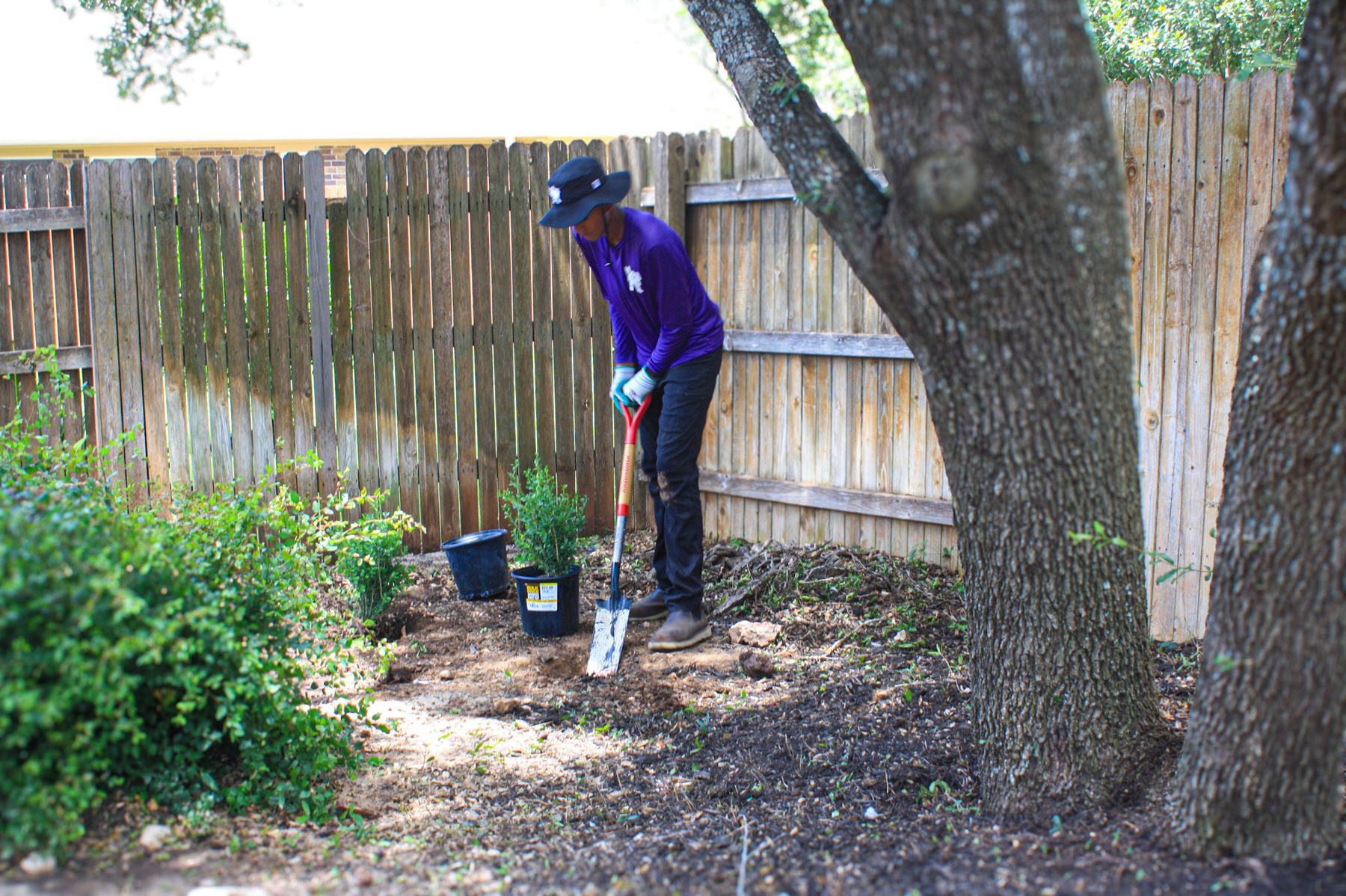 Lawn care work by Keep Austin Mowed in the Georgetown and Leander area, photo 6